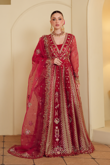 Gul-e-Shahi [FOZ-505]