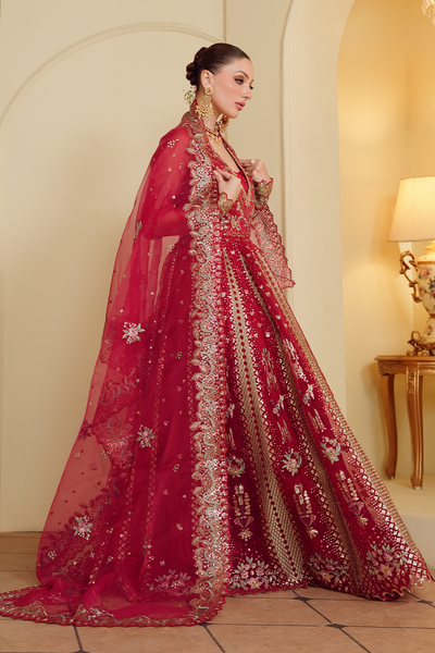 Gul-e-Shahi [FOZ-505]