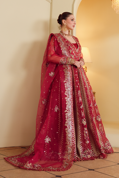 Gul-e-Shahi [FOZ-505]