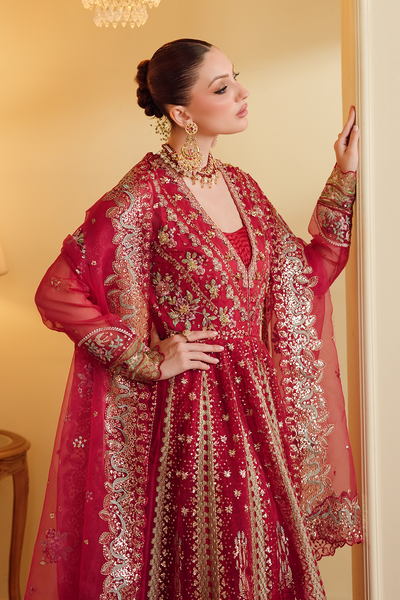 Gul-e-Shahi [FOZ-505]