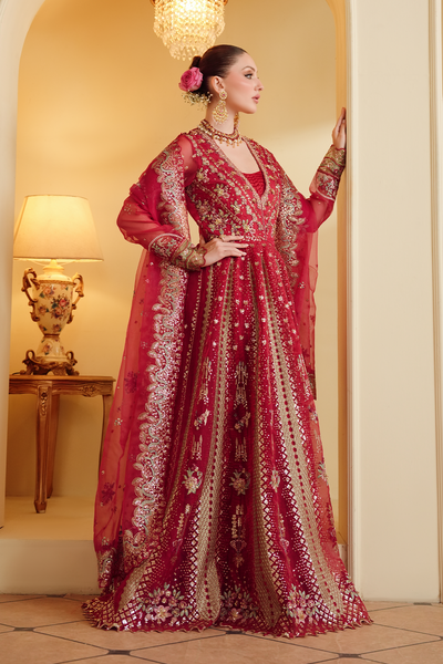 Gul-e-Shahi [FOZ-505]
