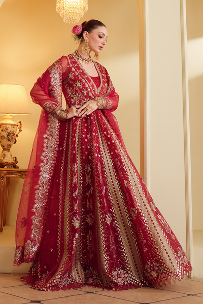 Gul-e-Shahi [FOZ-505]