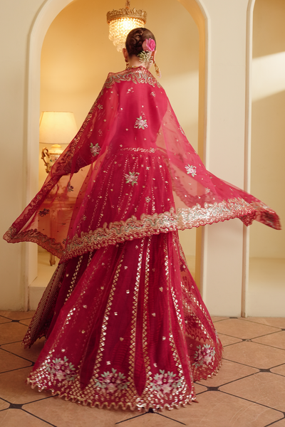 Gul-e-Shahi [FOZ-505]