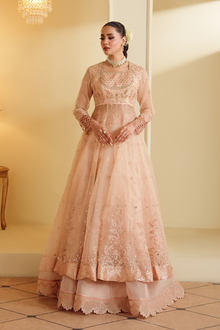 Gul-e-Rosé [FOZ-510]