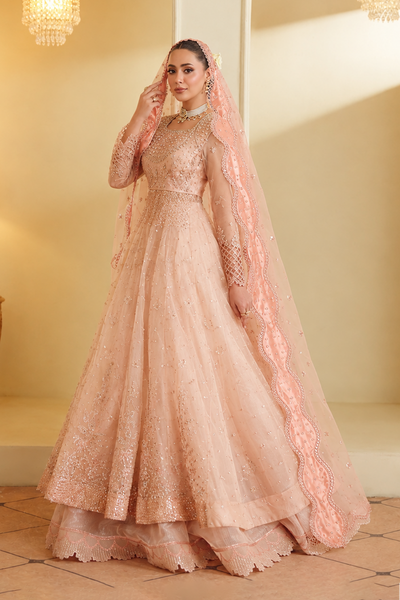 Gul-e-Rosé [FOZ-510]