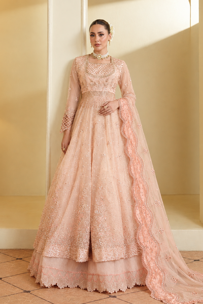 Gul-e-Rosé [FOZ-510]