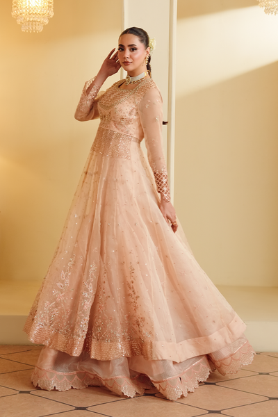 Gul-e-Rosé [FOZ-510]