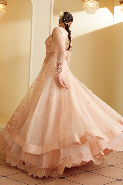 Gul-e-Rosé [FOZ-510]