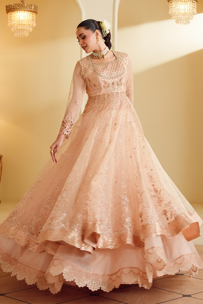 Gul-e-Rosé [FOZ-510]