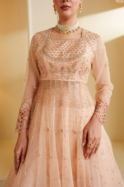 Gul-e-Rosé [FOZ-510]