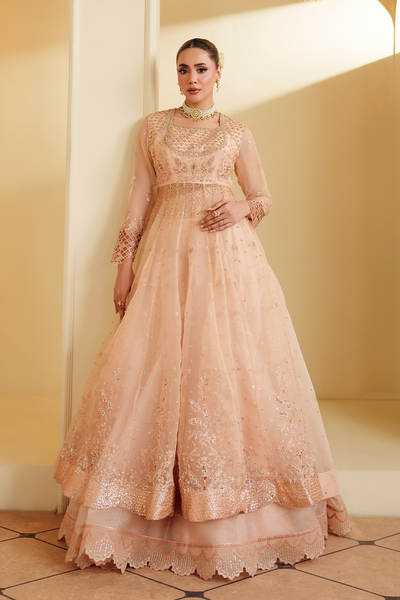 Gul-e-Rosé [FOZ-510]