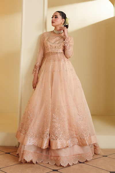 Gul-e-Rosé [FOZ-510]