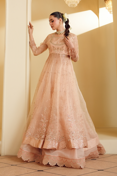 Gul-e-Rosé [FOZ-510]